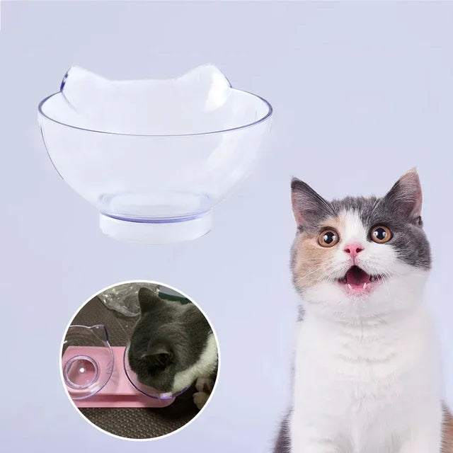 Collier chien durable