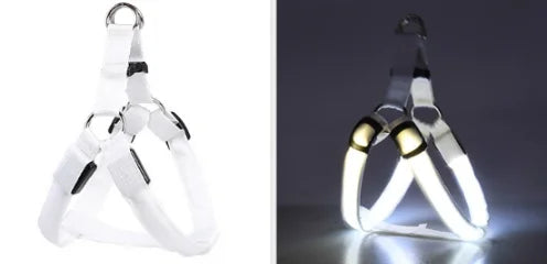 Harnais chien réfléchissant