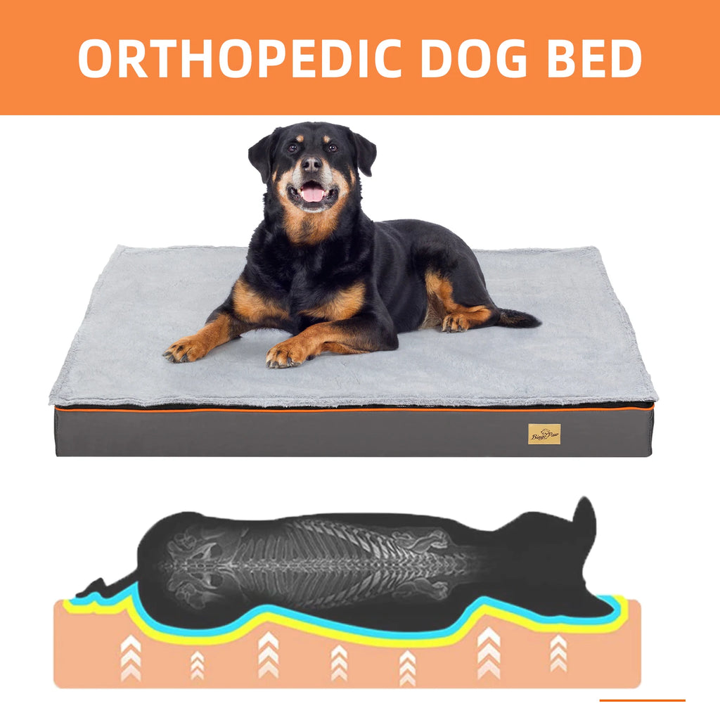 Lit chien grande taille orthopédique housse lavable