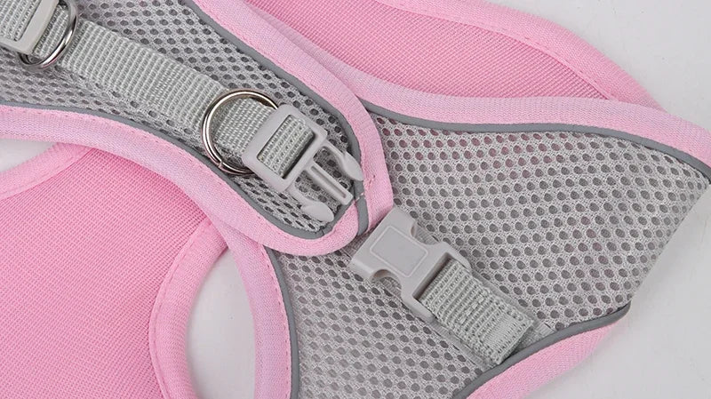 Harnais chiot réglable gilet collier laisse chat chien