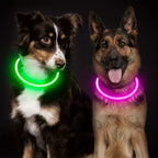 Collier LED chien USB lumineux rechargeable nuit