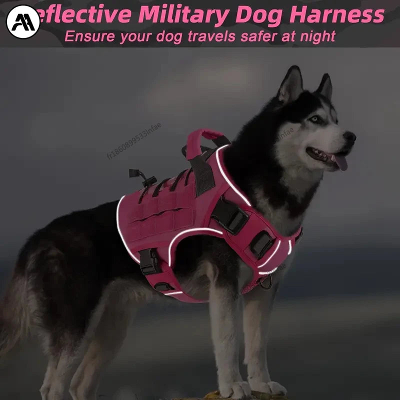 Harnais chien tactique