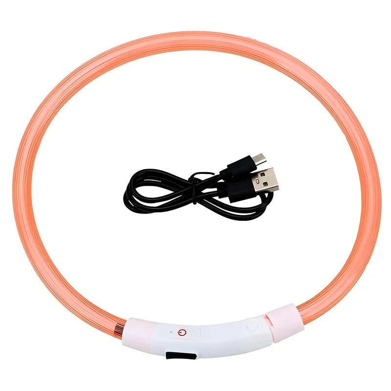Collier LED chien USB lumineux rechargeable nuit