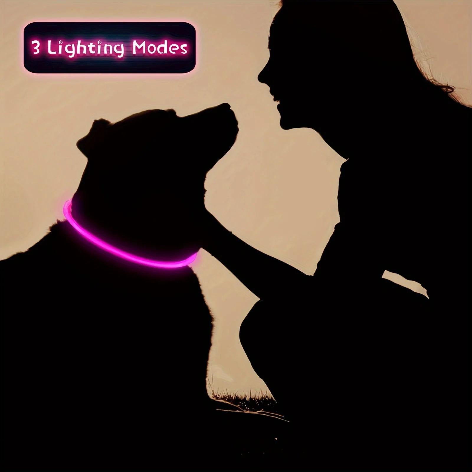 Collier LED chien USB lumineux rechargeable nuit