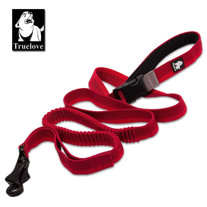 Laisse chien durable