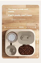 Distributeur eau nourriture chien chat gravité antidérapant