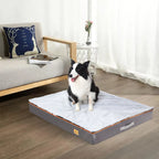 Lit chien grande taille orthopédique housse lavable
