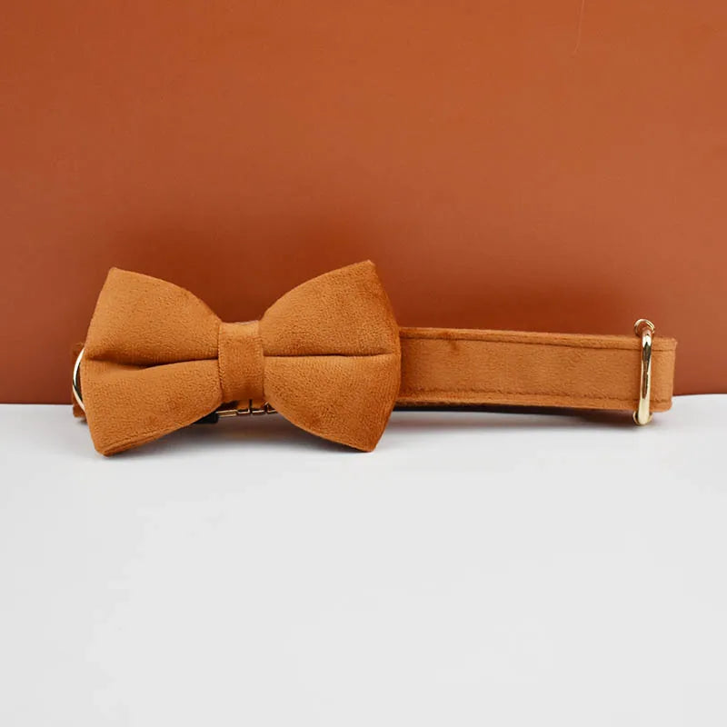 Collier chien velours personnalisé