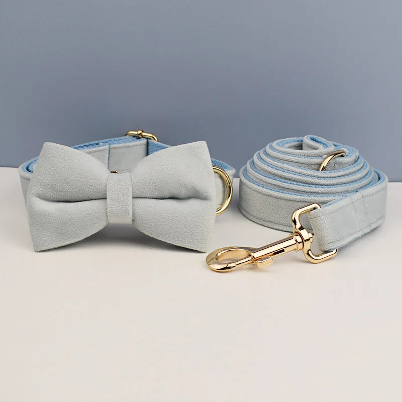 Collier chien velours personnalisable