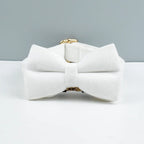 Collier chien velours personnalisé gravé premium