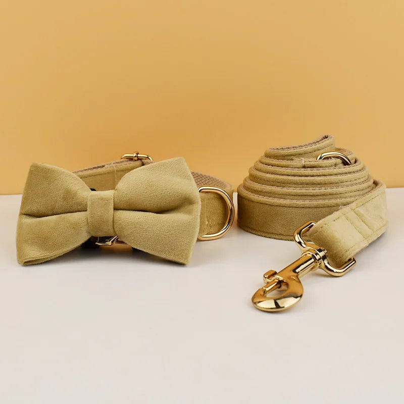 Collier chien velours personnalisé