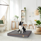 Lit chien grande taille orthopédique housse lavable