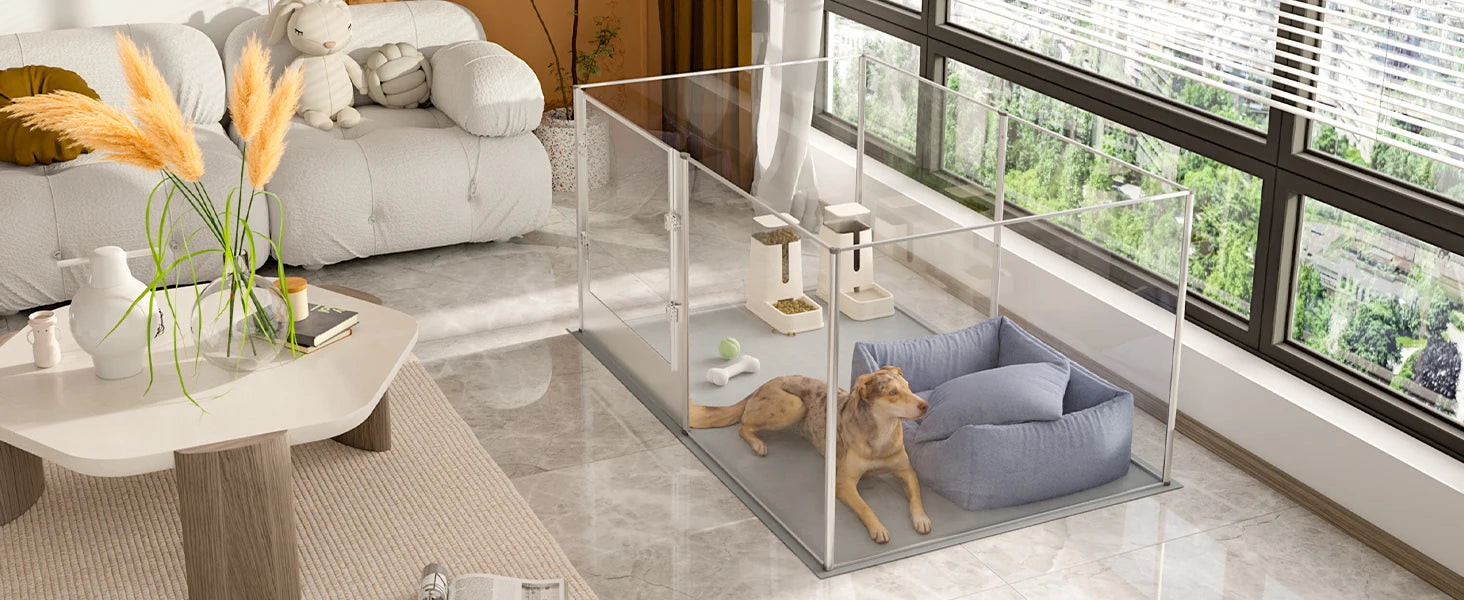 Parc chien acrylique transparent mise bas imperméable