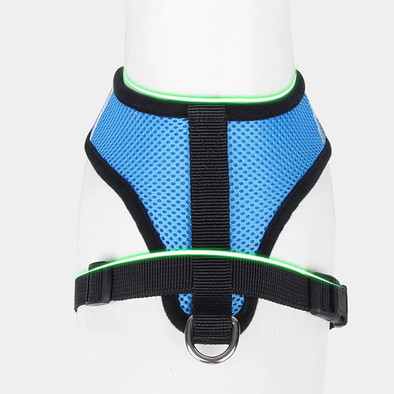 Harnais gilet chat chien maille réglable laisse
