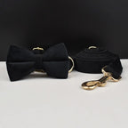 Collier chien velours personnalisé