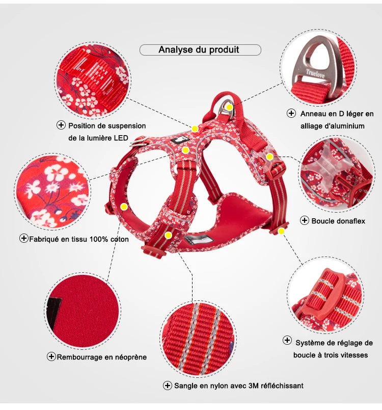 Harnais chien anti-traction