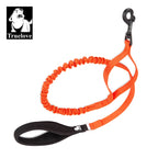 Laisse chien durable