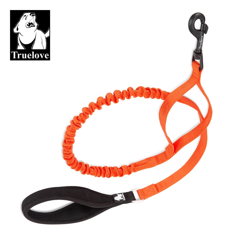 Laisse chien durable
