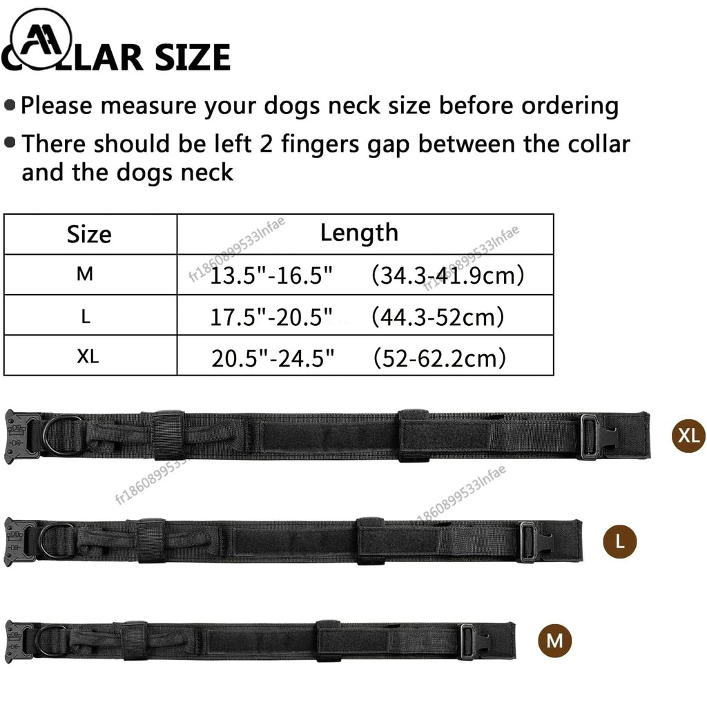 Laisse chien tactique