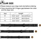 Laisse chien tactique