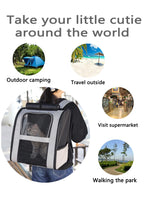 Sac à dos transport chat maille respirante léger