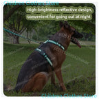 Harnais chien réfléchissant