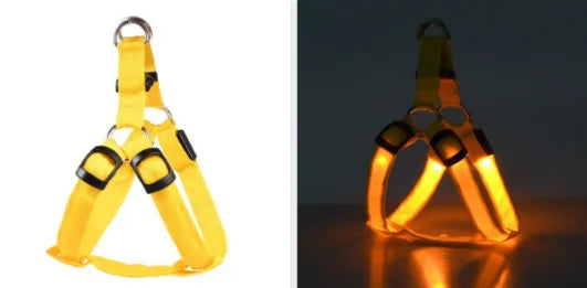 Harnais chien réfléchissant