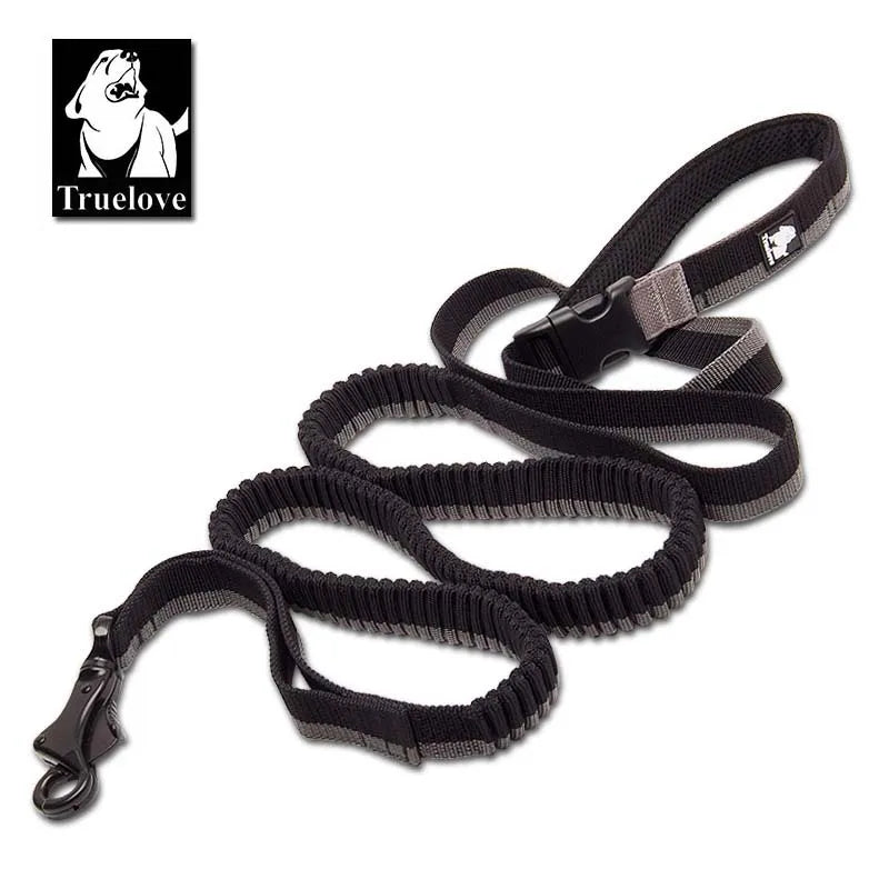 Laisse chien durable