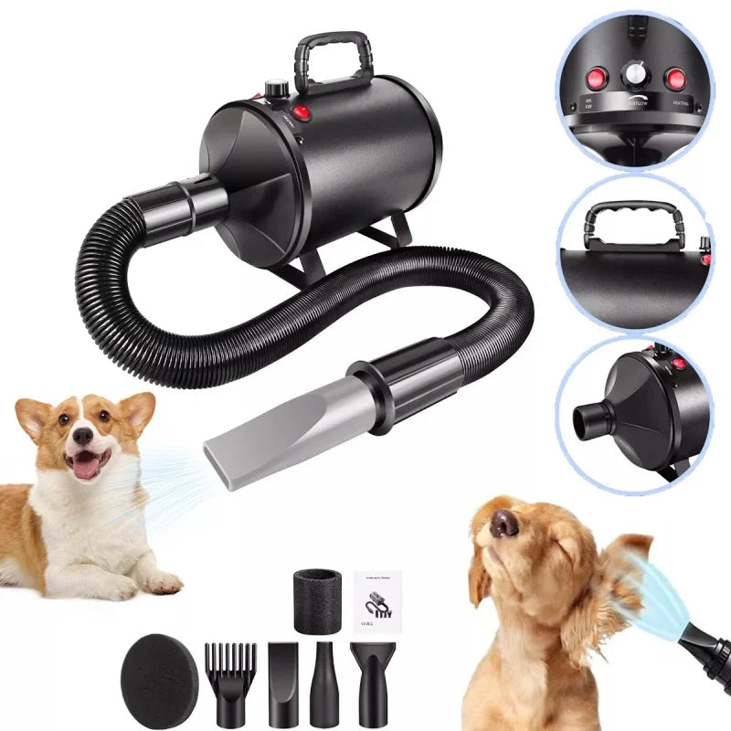 Souffleur toilettage chien chat 3500W vitesse réglable
