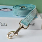 Collier chien velours vert personnalisé premium