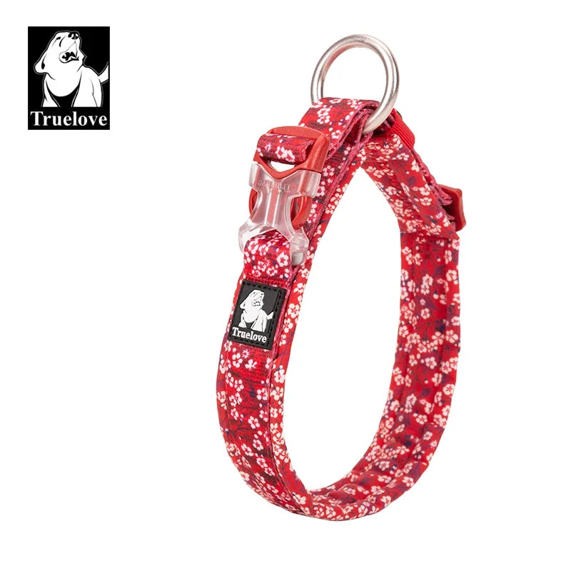 Collier chien