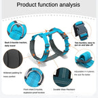 Harnais chien réfléchissant