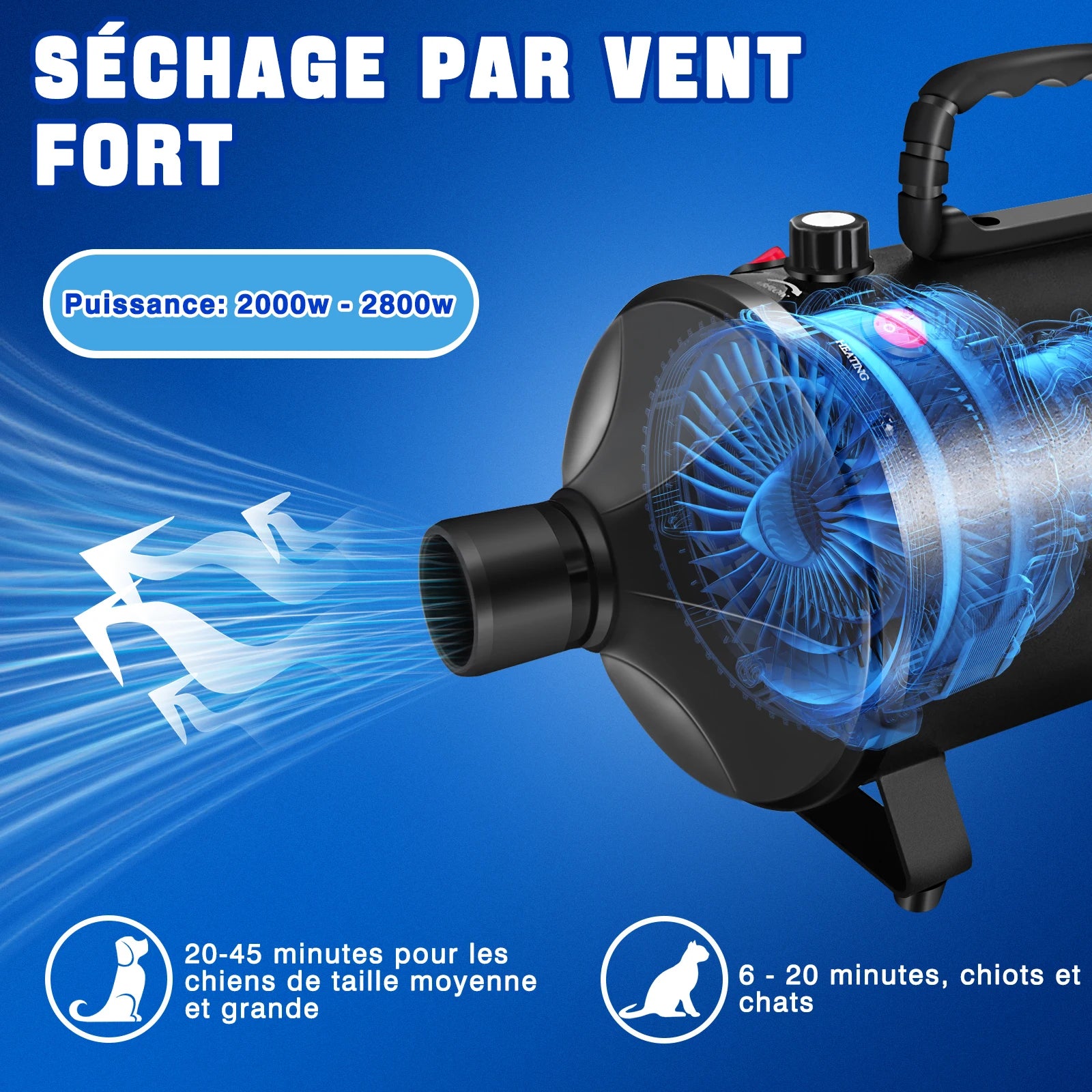 Souffleur toilettage chien chat 3500W vitesse réglable