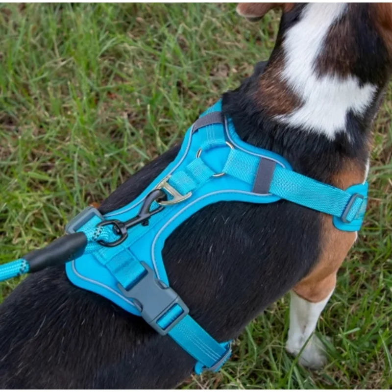 Harnais chien réfléchissant