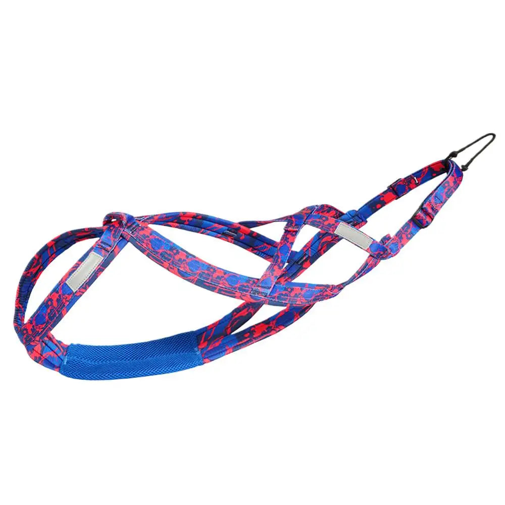 Harnais chien réfléchissant