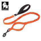 Laisse chien durable