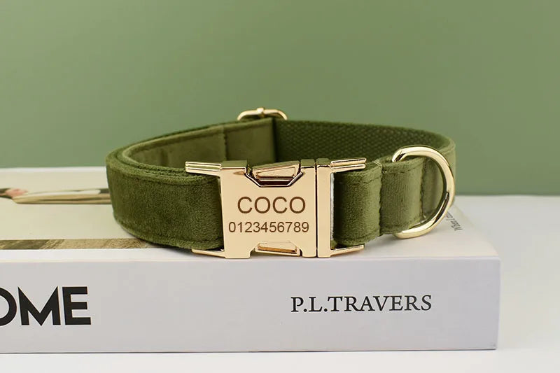 Collier chien velours vert personnalisé gravé