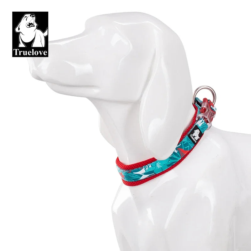 Collier chien