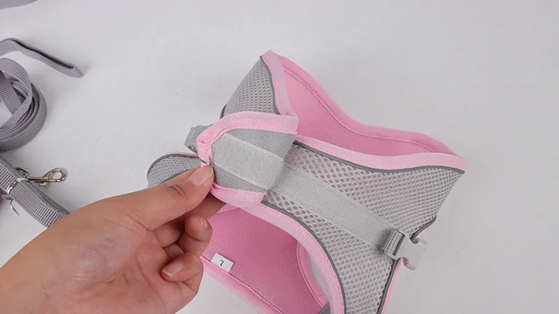 Harnais chiot réglable gilet collier laisse chat chien