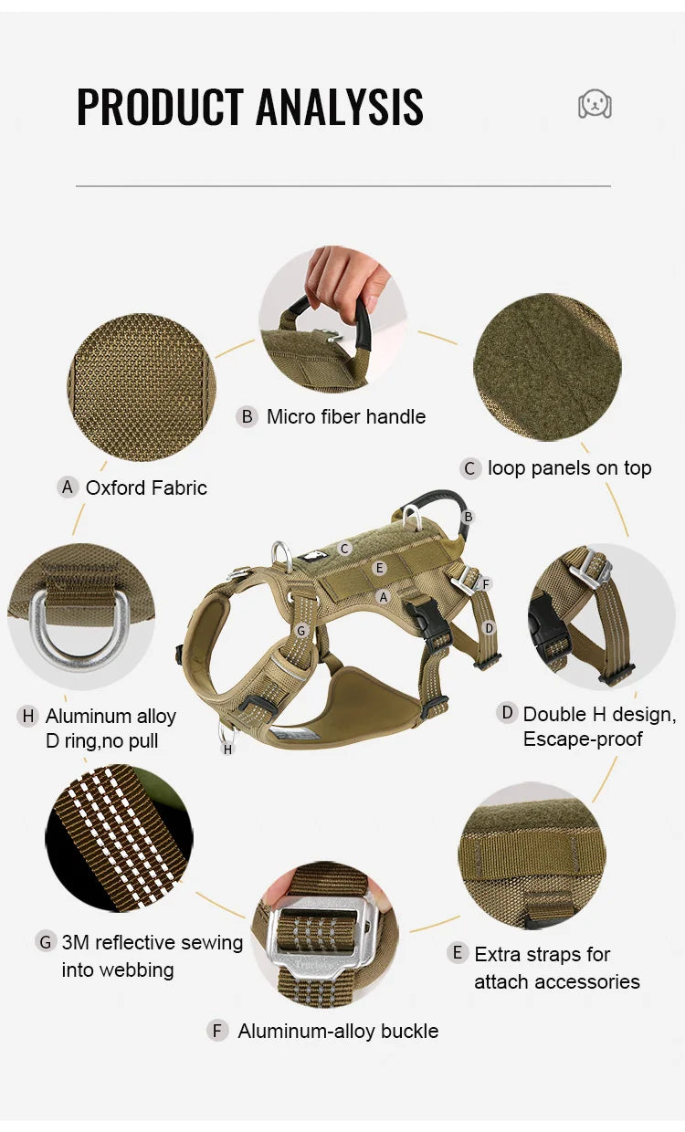 Harnais chien anti-traction