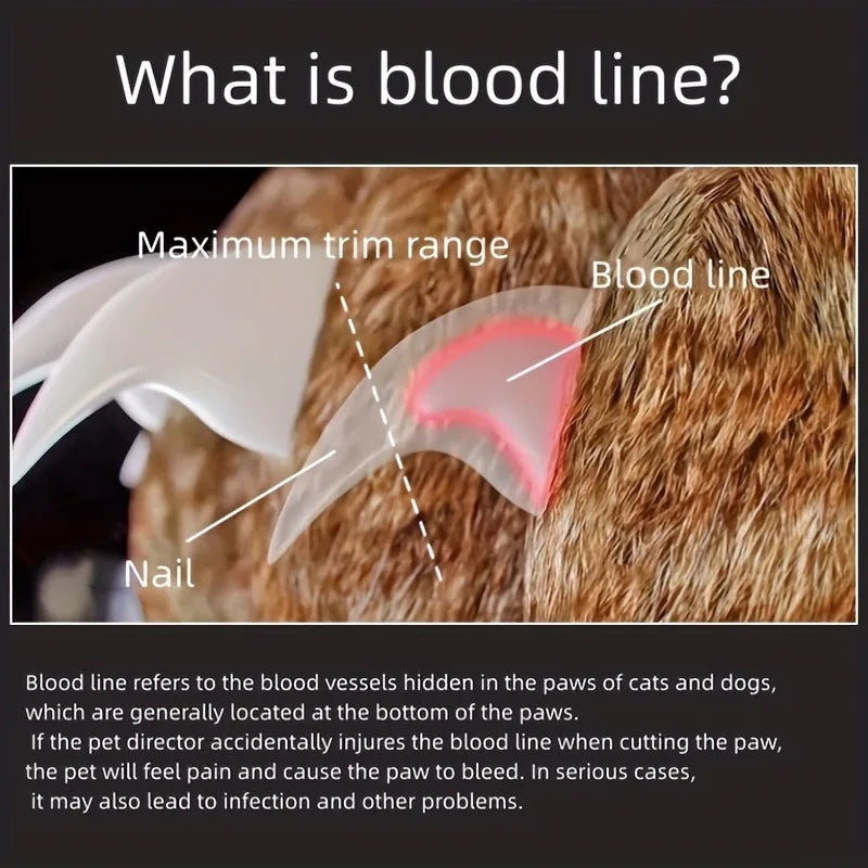 Coupe-griffes chien chat LED acier collecteur