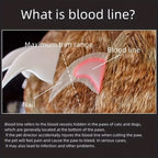 Coupe-griffes chien chat LED acier collecteur