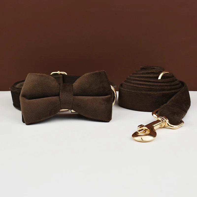 Collier chien velours personnalisé