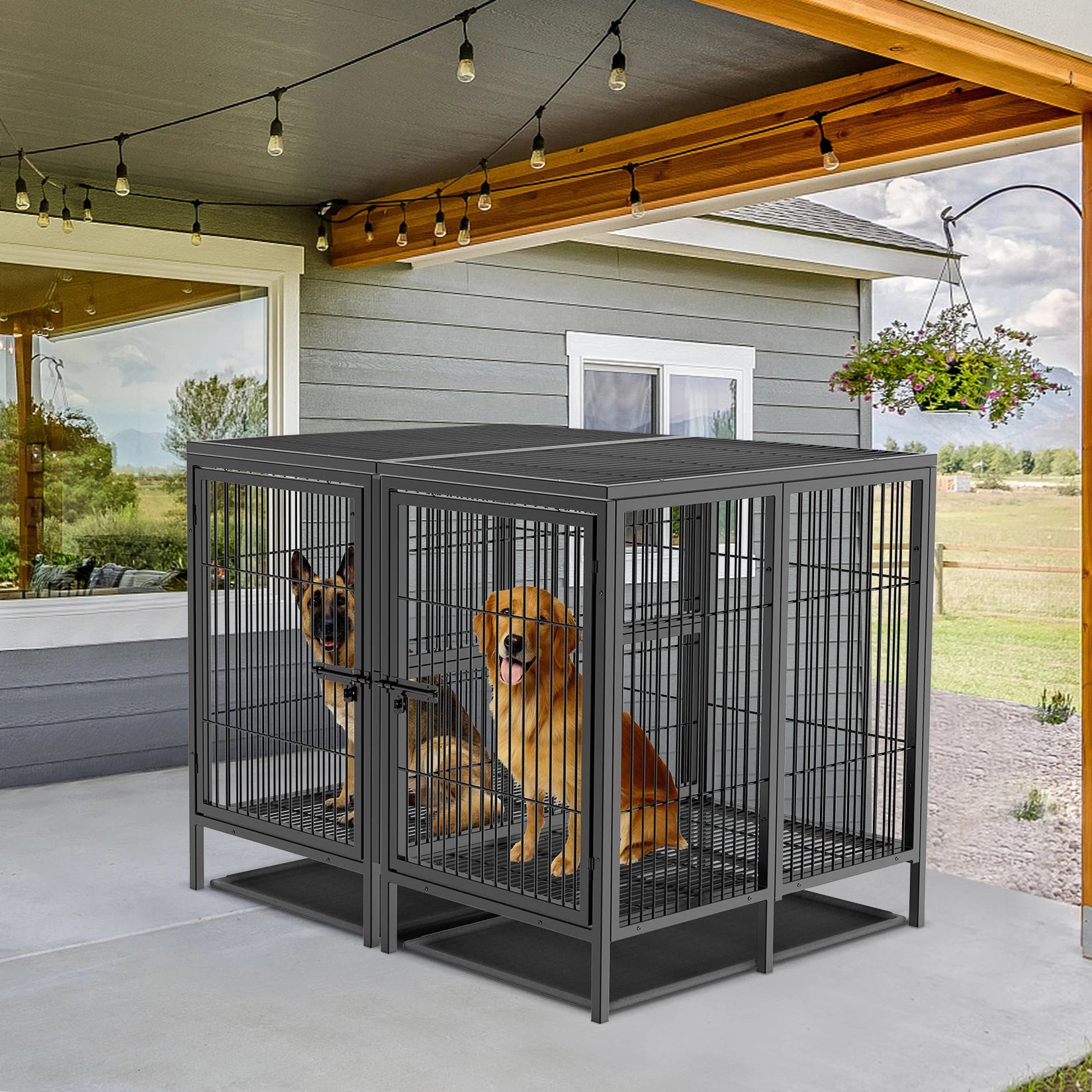 Cage chien métal surélevée XL robuste séparateur