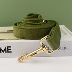 Collier chien velours vert personnalisé gravé