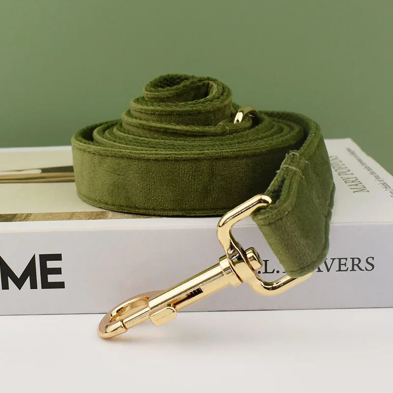 Collier chien velours vert personnalisé gravé