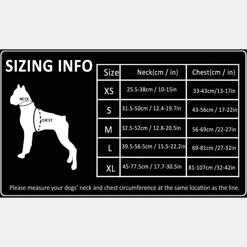 Harnais chien anti-traction