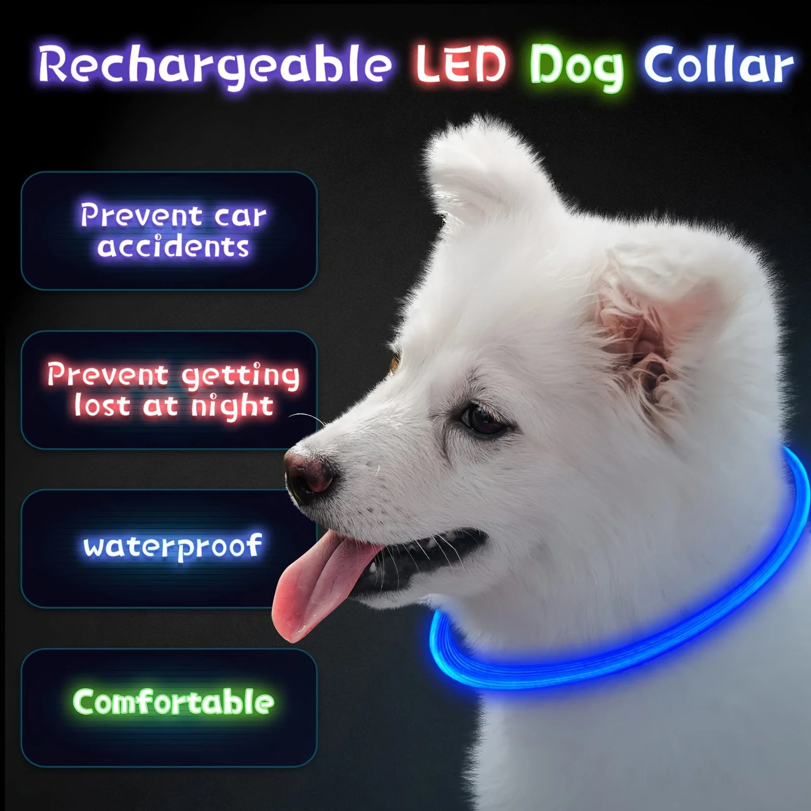 Collier LED chien USB lumineux rechargeable nuit