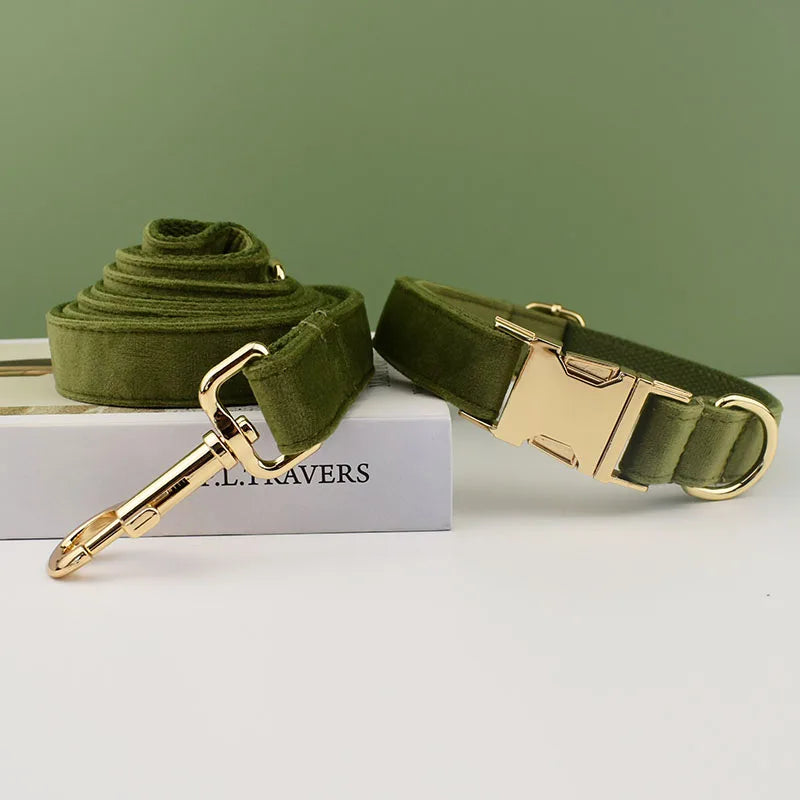 Collier chien velours vert personnalisé gravé