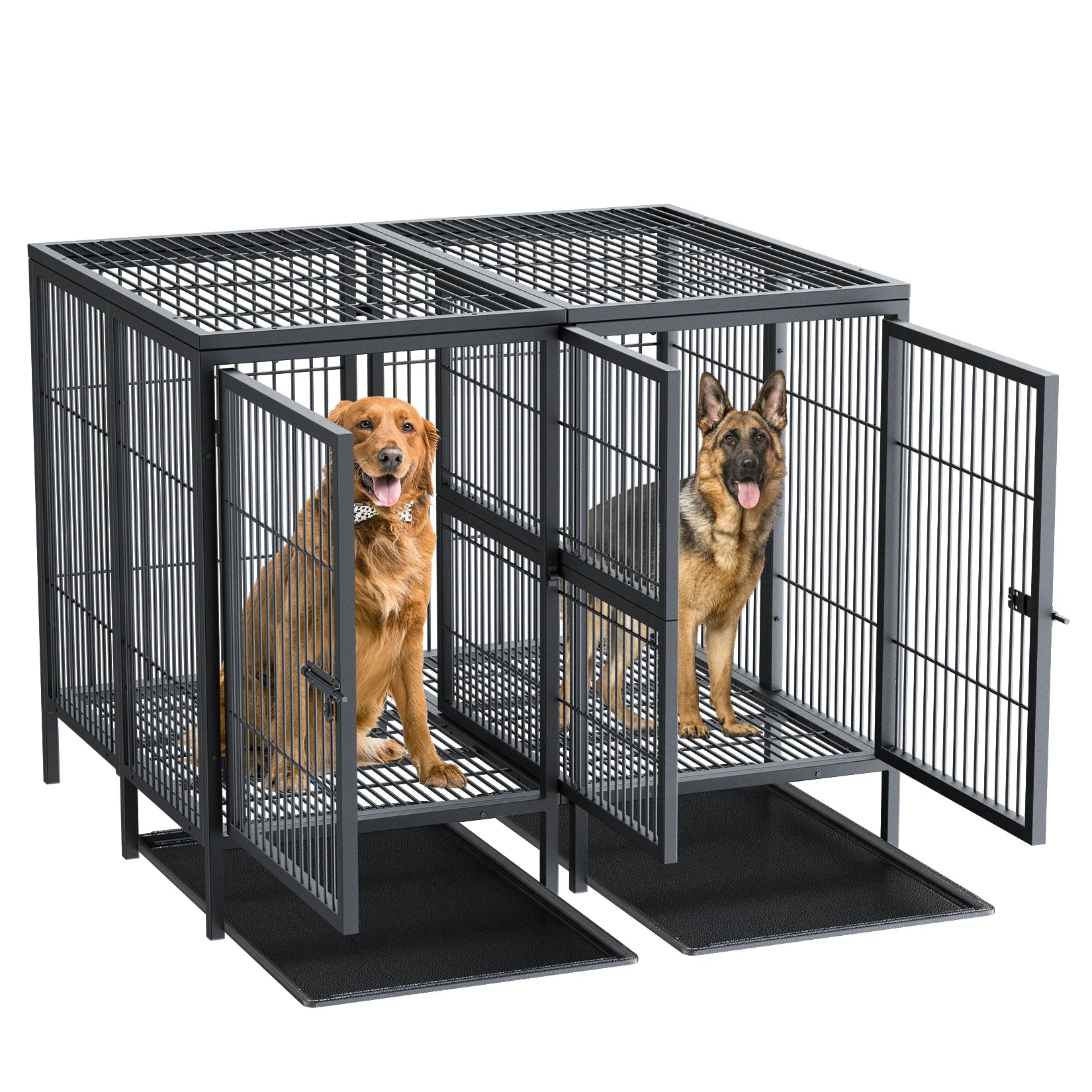 Cage chien métal surélevée XL robuste séparateur